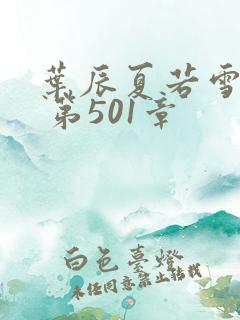 叶辰夏若雪孙怡 第501章