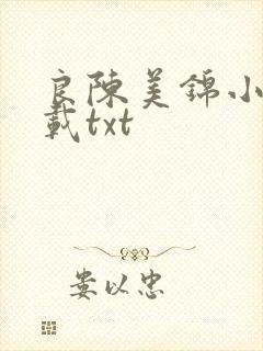 良陈美锦小说下载txt