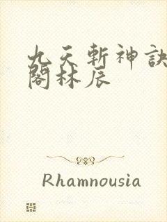 九天斩神诀笔趣阁林辰