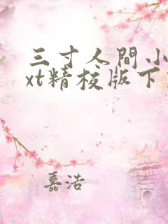 三寸人间小说txt精校版下载