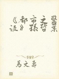 《都市之医武风流》孙哲叶巧朱颜