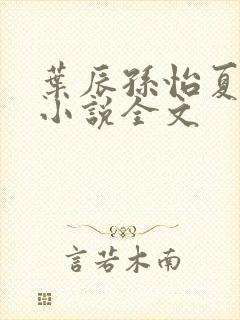 叶辰孙怡夏若雪小说全文
