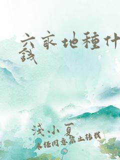 六亩地种什么挣钱