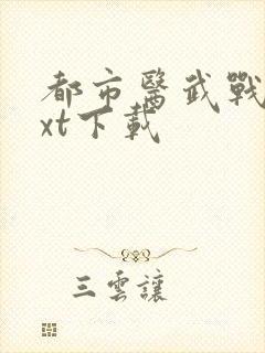 都市医武战神txt下载