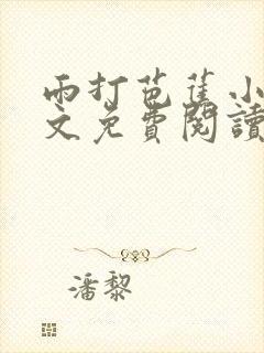雨打芭蕉小说全文免费阅读无弹窗