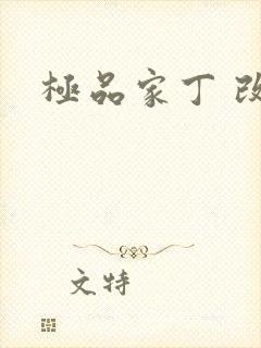 极品家丁 改编
