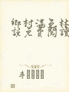 乡村满色林瑶小说免费阅读全文正版