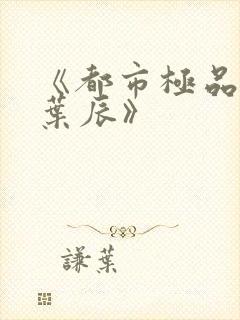 《都市极品医神叶辰》