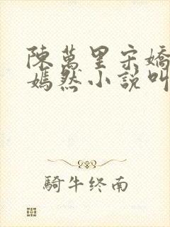 陈万里宋娇娇唐嫣然小说叫什么名字