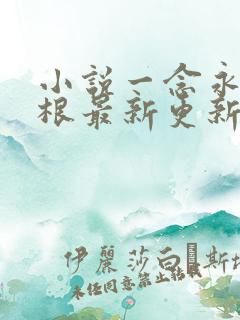 小说一念永恒耳根最新更新
