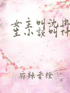 女主叫沈冉的重生小说叫什么