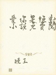 爱你是绝对秘密小说免费阅读