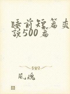 睡前短篇爽文小说500篇