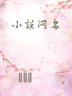 小说网名
