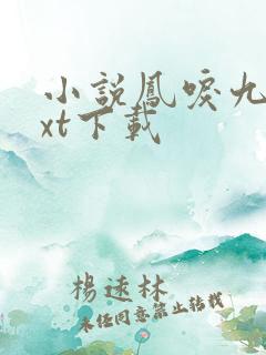 小说凤唳九天txt下载
