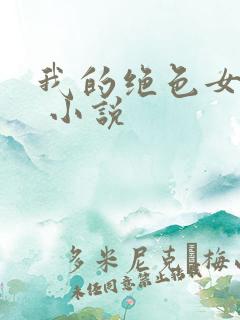 我的绝色女老师 小说