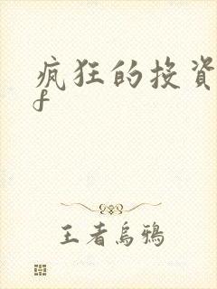 疯狂的投资pdf