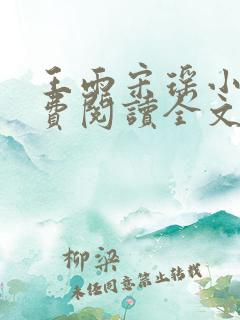 王雨宋瑶小说免费阅读全文最新章节