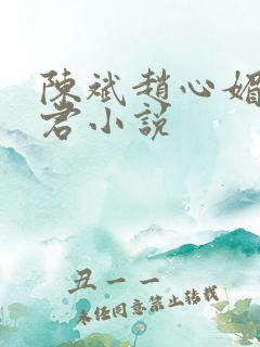 陈斌赵心媚高婉君小说