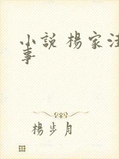 小说 杨家洼情事