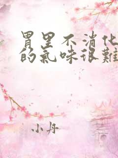 胃里不消化打嗝的气味很难闻