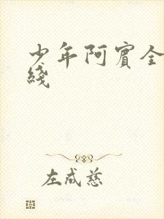 少年阿宾全文在线