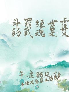 斗罗绝世霍雨浩的武魂是艾露猫笔趣阁