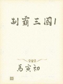 制霸三国1
