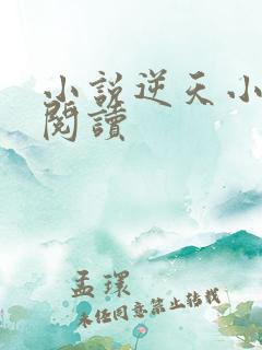 小说逆天小医仙阅读