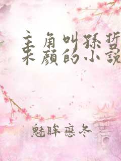 主角叫孙哲叶巧朱颜的小说