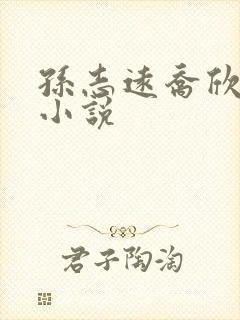 孙志远乔欣怡的小说