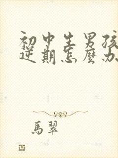 初中生男孩子叛逆期怎么办