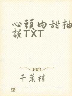 心头肉甜柚子小说TXT
