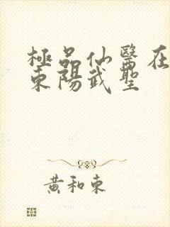 极品仙医在都市东阳武圣