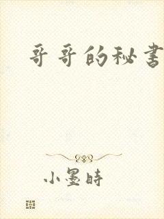 哥哥的秘书