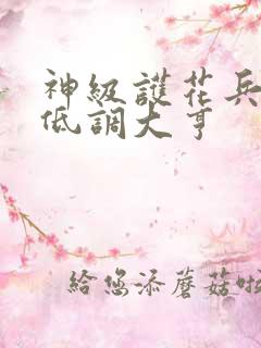 神级护花兵王 低调大亨