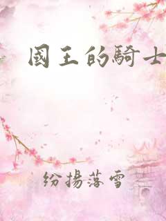 国王的骑士