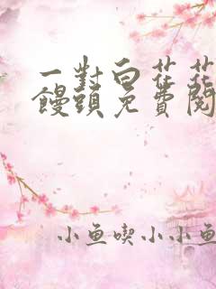 一对白花花的大馒头免费阅读
