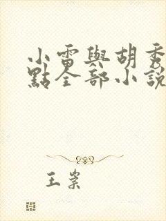 小雷与胡秀英顶点全部小说
