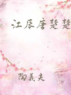 江辰唐楚楚小说