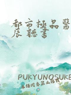 都市极品医神叶辰 听书