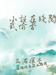 小说在线阅读综武偷香