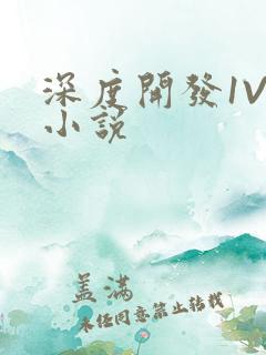 深度开发1V3小说