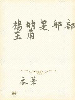 杨明是哪部小说主角