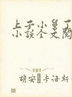 上子小舅了老婆小说全文阅读