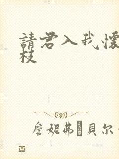 请君入我怀宋瑶枝