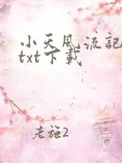 小天风流记小说txt下载