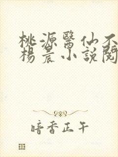 桃源医仙不风流杨晨小说阅读