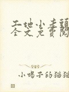 工地小老头小说全文免费阅读