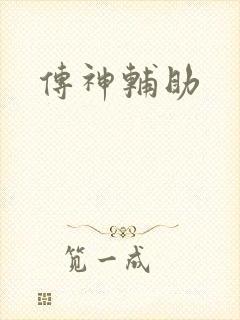 传神辅助